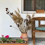 Bakonyi Vadasz Haza * Bakonykuti
