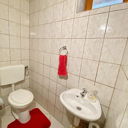 Bakonyi Vadasz Haza Holiday home