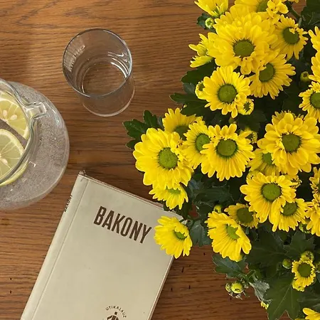 Casa vacanze Bakonyi Vadász Háza